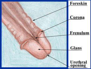 Mens Clinic International